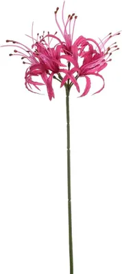 Produktbild von artplants.de Kunst Gartenamaryllis NANFAJI, pink, 65cm - Künstliche Blume