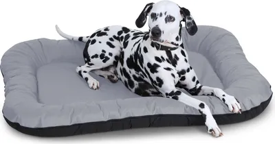Produktbild von Knuffelwuff Wasserfestes In und Outdoor Hundebett Lucky aus Nylongewebe XL 90 x 75cm Grau