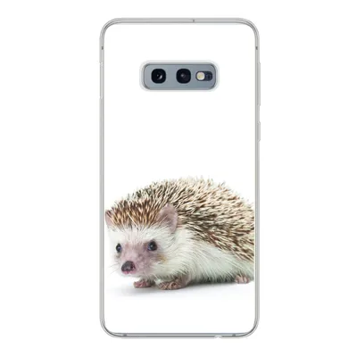 Produktbild von MuchoWow® Handyhülle Schutzhülle Hülle für Samsung Galaxy S10e Igel - Tiere - Weiß Silikon Softcase Handy Hülle - Handy