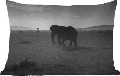 Produktbild von MuchoWow® Outdoor Kissen - Elefant - Einfarbig - Tiere - Schwarz und weiß - 60x40 cm - Wetterfest - Lounge Kissen - Zierkissen - Kissen für Innenräume
