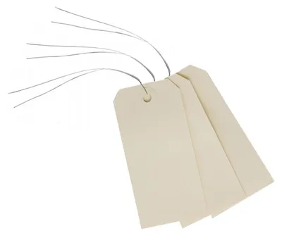 Obrázek produktu pro AVERY 75-410 Zavazadlový štítek AVERY, 120 x 60 mm, neutrální, s drátem