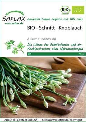 Artikelbild 1 von 'BIO Schnitt-Knoblauch' aus der Kategorie Knoblauchsamen
