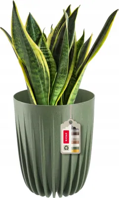 Produktbild von KADAX Blumentopf aus Kunststoff "Costa", mit Naturmaterialien, Pflanztöpfe, mit Einsatz, 19 cm, Grün