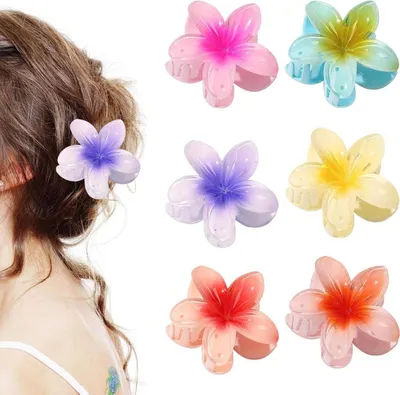 Image de Pinces à cheveux en acrylique pour cheveux épais et fins 6 pièces