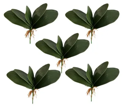 Künstliche Orchideenpflanze, 5 Stück, 20 cm, Plastik, Grün