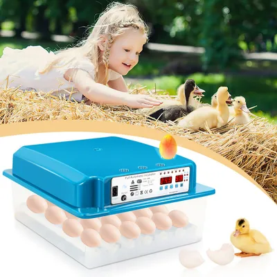 Obrázek produktu pro Inkubátor otočný systém + regulace teploty pro slepice husy kachny holuby křepelky ptáky S LED světlem na vejce s LCD displejem 36 vajec zelená