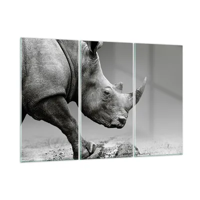 Produktbild von Bilder auf glas - 3 Teile - Nashorn Monochrom Tier - 165x110cm - Glasbilder - Wandbilder - Bilder - zum Aufhängen bereit - Wanddekoration aus Glas - Glas Bilder - Wandbild auf Glas - GCE165x110-4954