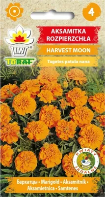 Obrázek produktu pro HARVEST MOON oranžový samet rostlina 1g