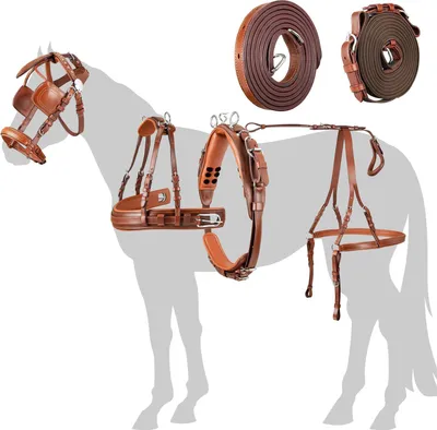 Produktbild von Esposita Einspännergeschirr "Anatomic Style" Cronic Braun Gr. Cob