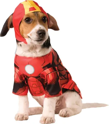 Produktbild von Iron Man Hundekostüm Hundegröße: L
