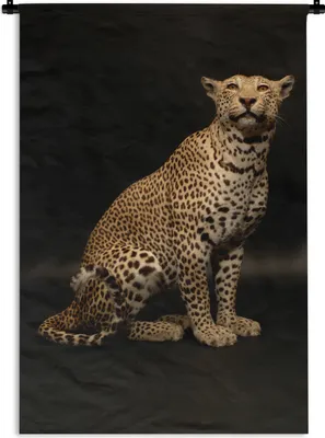 Produktbild von MuchoWow® Wandteppich Wandbehang Leopard - Tiere - Fleck 90x135 cm Tapisserie Dekoration Wandtuch - Baumwolle - Wandskulptur