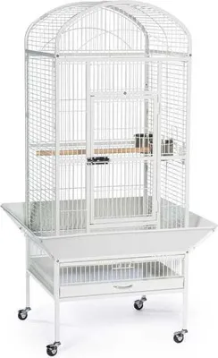 Immagine prodotto di Prevue Pet - Cupola - Gabbia in ferro battuto per pappagalli di medie e grandi dimensioni - bianca