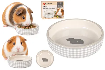 Obrázek produktu pro MISKA PRO MORČATA, keramika Mylo, šedá a bílá, kulatá, objem 200 ml, rozměry 12 x 3,5 cm