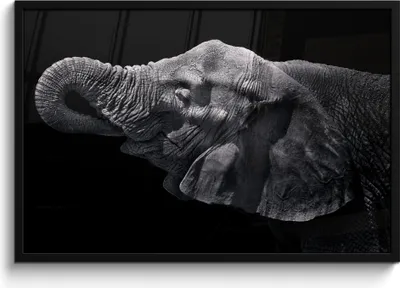 Produktbild von MuchoWow® MuchoWow® Gerahmtes Poster Elefant - Tiere - Schwarz - Natur 90x60 cm - Poster mit zchwarzem Bilderrahmen - Fotorahmen - Foto-Plakat