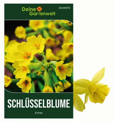 Produktbild von Wiesen-Schlüsselblume Samen - Primula veris - Wiesen-Schlüsselblumensamen - Blumensamen - Saatgut für 25 Pflanzen