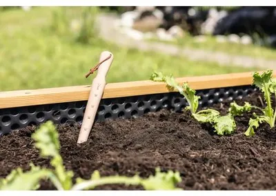 Produktbild von Pflanzholz Setzholz FloraSelf mit Skalen