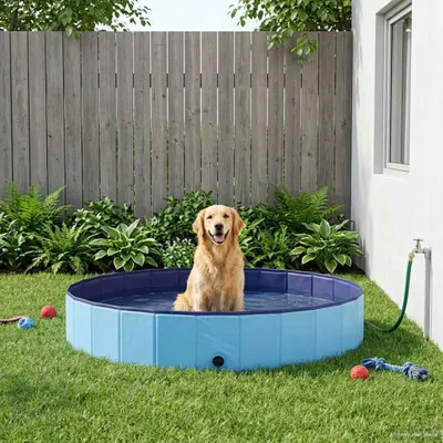 Immagine prodotto di Piscina per Cani Blu Ø300 x 38 cm PVC Spesso
