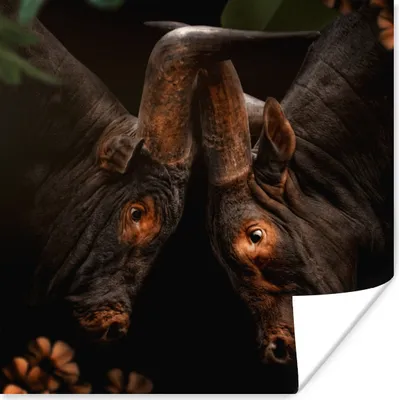 Produktbild von MuchoWow® Poster Tiere - Dschungel - Kühe 75x75 cm - Wand Dekoration