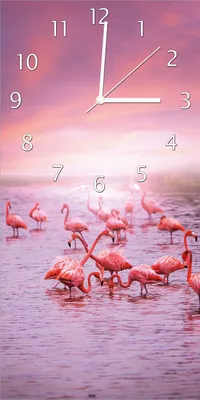 Produktbild von Wallario Design Wanduhr bedruckt, Größe 30 x 60 cm, Motiv: Rosa Flamingos bei Sonnenuntergang