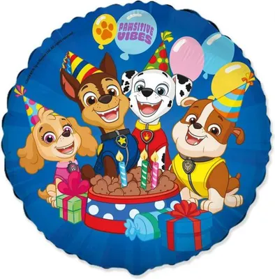 Produktbild von Runder Folienballon, Paw Patrol Geburtstag, 46 cm, 18"