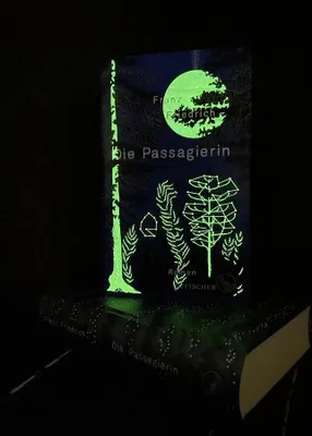 Image de Die Passagierin