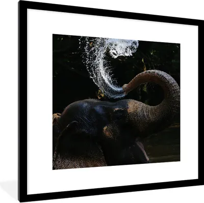 Produktbild von MuchoWow® Gerahmtes Poster Elefant spuckt Wasser 40x40 cm - Poster mit Schwarzem Bilderrahmen Wandposter Rahmen Foto Bilder - Poster - Plakat im Rahmen