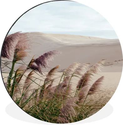 Produktbild von MuchoWow® Aluminium Wandkreis Gras - Wasser - Natur Ø 30 cm Wanddeko Modern Wohnzimmer - Wand Bild - Wohnzimmer - Runde Bilder - Alubilder - Kunst für zu Hause - Aluminium - Wanddekoration
