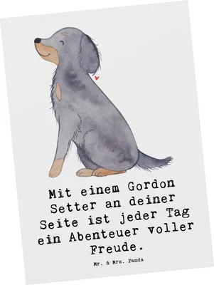 Produktbild von Mr. & Mrs. Panda Postkarte Gordon Setter Freude - Weiß - Geschenk, Hunderassen Pflege, Grußkarte, Jagdhund, Enthusiasmus, sanftmütig, intelligent, Postkarten, bildkarte