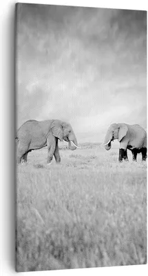 Produktbild von Bild auf Leinwand - Leinwandbild - Einteilig - Elefanten Schwarzweiß Safari - 55x100cm - Wand Bild - Wanddeko - Wandbilder - Leinwanddruck - Bilder - Wanddekoration - Leinwand bilder - PA55x100-4186
