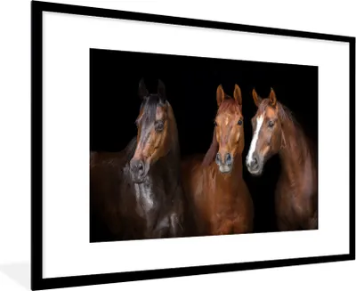 Produktbild von MuchoWow® MuchoWow® Gerahmtes Poster Pferde - Tiere - Schwarz - Porträt 90x60 cm - Poster mit zchwarzem Bilderrahmen - Wanddekoration - Fotos