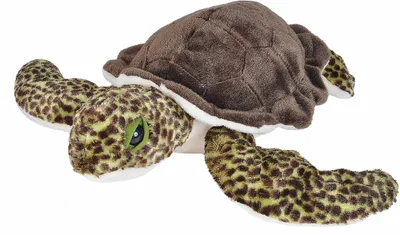 Immagine prodotto di Wild Republic - Peluche - Cuddlekins - Tartaruga marina verde