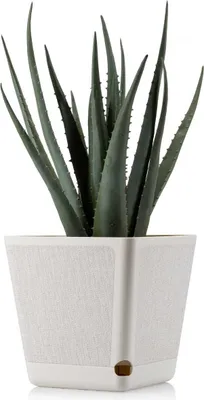 Produktbild von HowHomely | Pflanzkübel Pilea Texelle, Beige, 18 x 18 cm - Blumentöpfe, Modernes Design, mit Feuchtigkeitsmesser