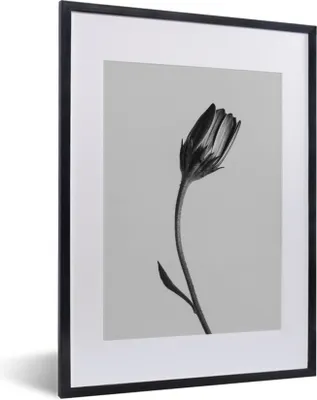 Produktbild von MuchoWow® MuchoWow® Gerahmtes Poster Pflanze - Makro - Schwarz - Weiß 30x40 cm - Poster mit zchwarzem Bilderrahmen - Wandposter Schlafzimmer