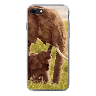 Produktbild von MuchoWow® Handyhülle Schutzhülle Hülle für iPhone SE 2020 Elefant - Gras - Jung - Rüssel Silikon Softcase Handy Hülle - Kartenbesitzer