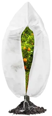 Produktbild von Winterschutz Pflanzen Vlies atmungsaktiv, frost- und winddicht