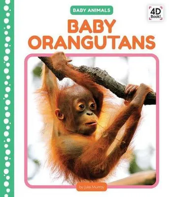 Image de Baby Orangutans