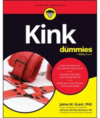 Imagen del producto de Kink for Dummies