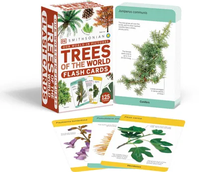 Produktbild von Our World in Pictures Trees of the World Flash Cards