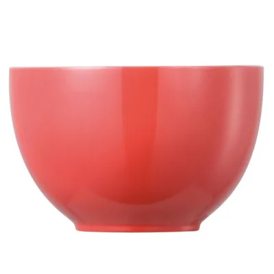 Obrázok produktu pre Thomas 10850-408525-15456, Porcelán, 0,45 L