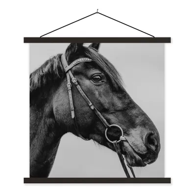 Produktbild von MuchoWow® Textilposter Pferd - Halfter - Porträt 60x60 cm mit schwarzem Rahmen - Posteraufhänger