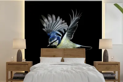 Produktbild von MuchoWow® Fototapete für Wohnzimmer oder Schlafzimmer Wandtapete Vinyl Motivtapete Blaumeise - Vogel - Schwarz - 280x280 cm - Hintergrundbild