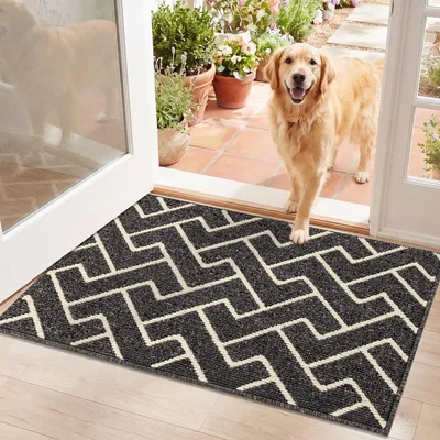 Immagine prodotto di Zerbino da interno antiscivolo - Assorbente - Lavabile in lavatrice - Microfibra - Ingresso