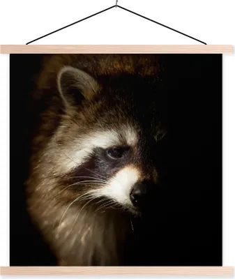 Produktbild von MuchoWow® Textilposter Waschbär - Wilde Tiere - Schwarz 120x120 cm mit holzfarbenen Rahmen - Textil-Poster