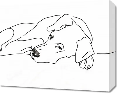 Produktbild von Bild 50x40cm Entspannung des Hundes