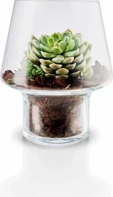 Produktbild von Eva Solo Sukkulenten-Glasvase - Ø 15 cm
