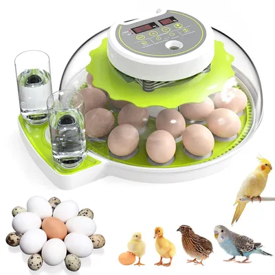 Imagen del producto de Incubadora automática con control de temperatura, para 18-36 huevos, apta para pollos y patos