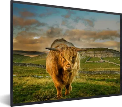 Produktbild von MuchoWow® Gerahmtes Poster Schottischer Highlander - Gras - Berg 80x60 cm - Poster mit Schwarzem Bilderrahmen Wandposter Rahmen Foto Bilder - Schwarzem - Mit Gestell