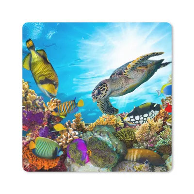 Produktbild von MuchoWow® Mauspad Mousepad Schildkröte - Meer - Koralle 20x20 cm - Mousepads - Maus Mat - Pad - Mausunterlage - Desk Mat - Bureauartikeln