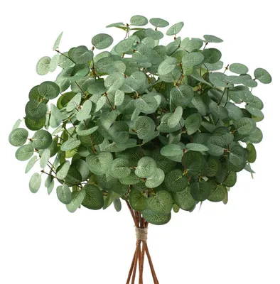 Obrázok produktu pre Umelé eukalyptové vetvičky, 6 kusov, 60 cm, zelená, hodvábna látka, dekorácia