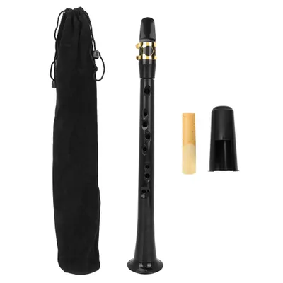 Image de Saxophone de poche portable d'entraînement avec sac à anche, instrument à vent en bois, accordage en si bémol